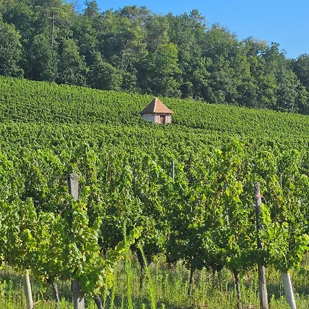 לינה וארוחת בוקר Et Les Deux Chenes Pres De Bergerac 4*